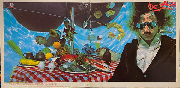 Joe Walsh – "But Seriously, Folks..." (used)