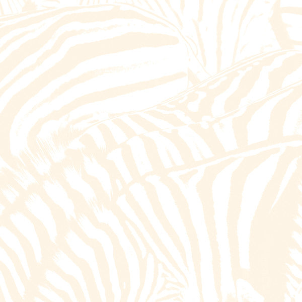 Beach House – Teen Dream (used)