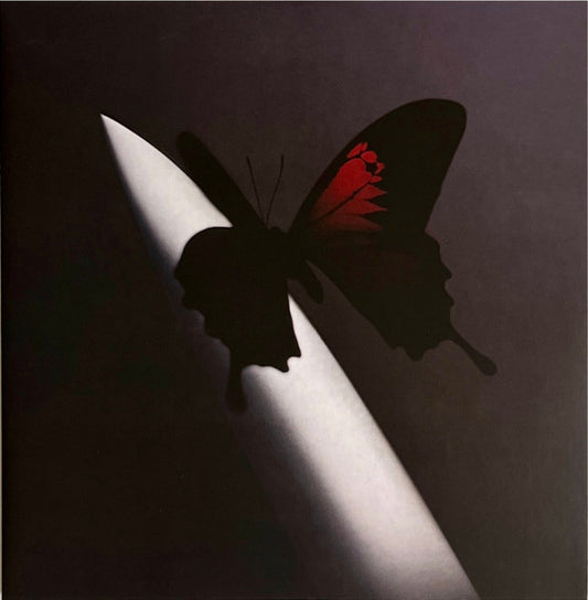 Post Malone – Twelve Carat Toothache (new)