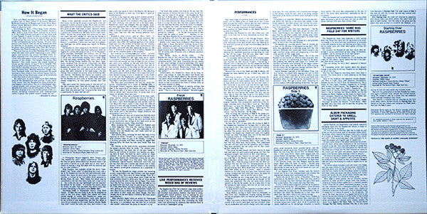 Raspberries – Raspberries' Best - Featuring Eric Carmen (used)