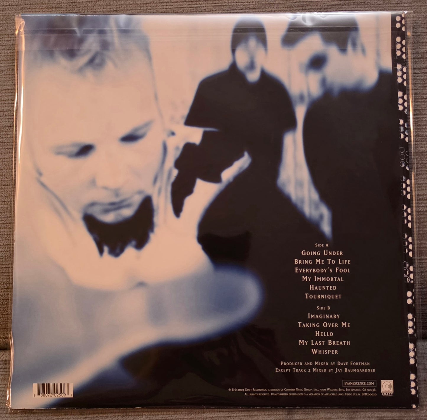 Evanescence – Fallen (used)(2019 Pressing)