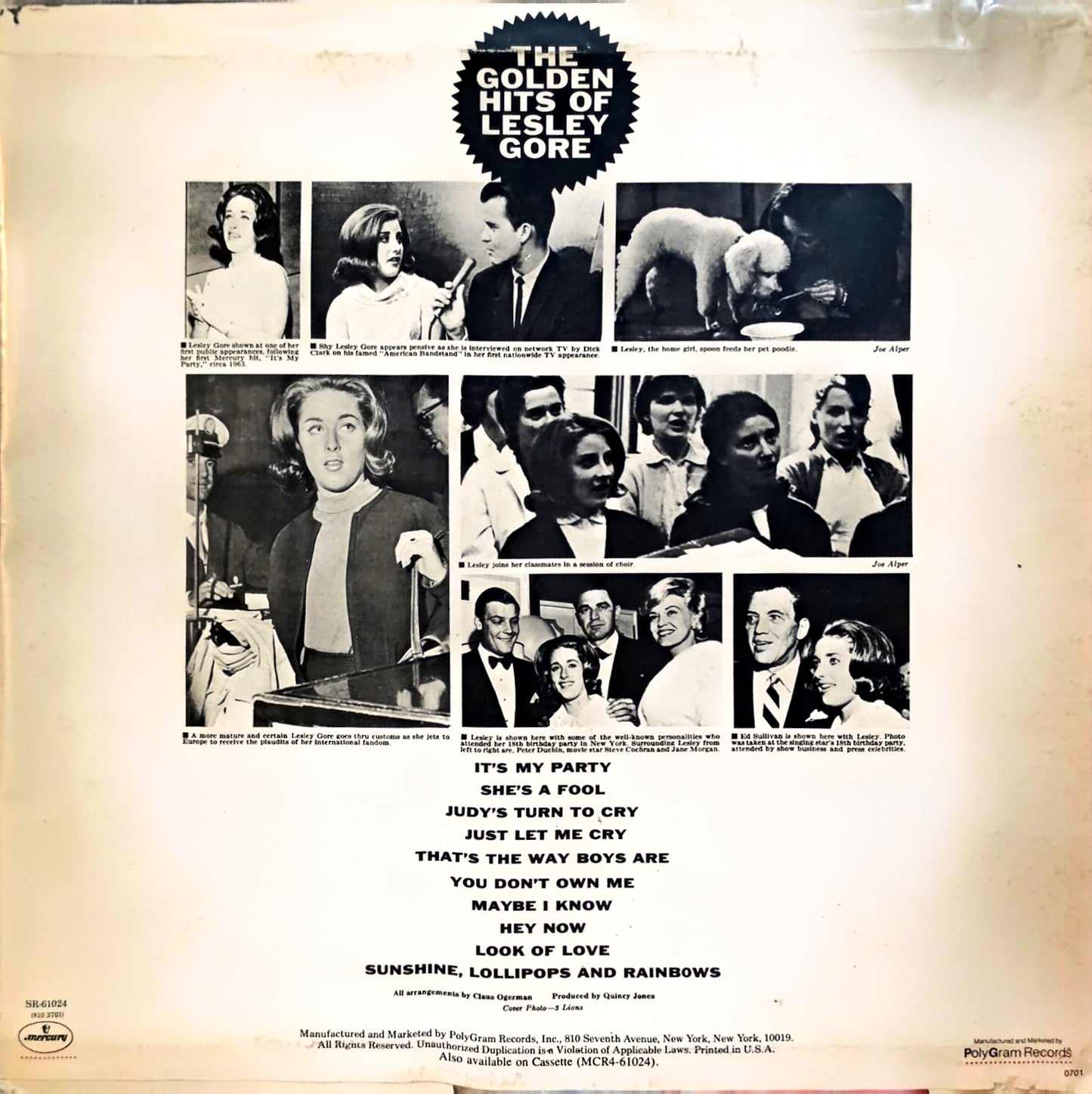 Lesley Gore – The Golden Hits Of Lesley Gore (used)(1983 Pressing)
