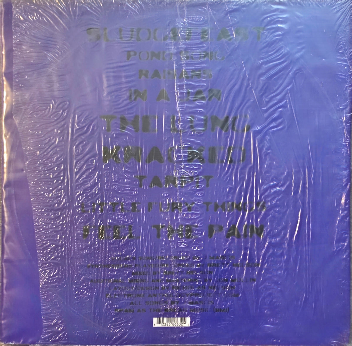 The Electronic Anthology Project Of Dinosaur Jr. (used)(2012 Pressing)