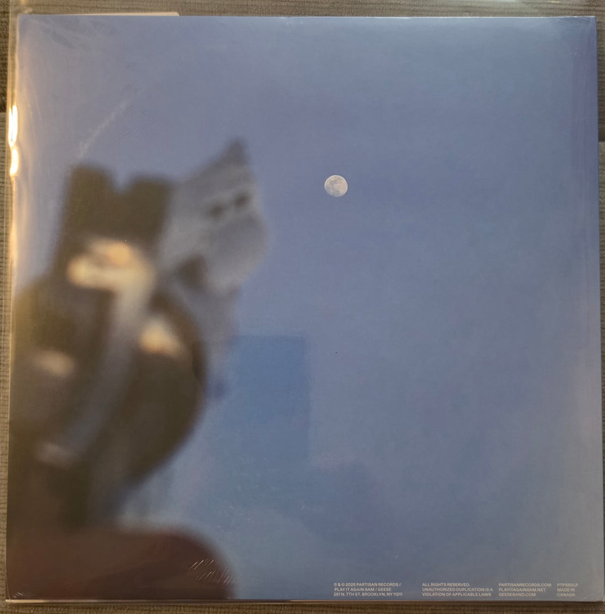 Geese – Getting Killed (new)(2025 Pressing)