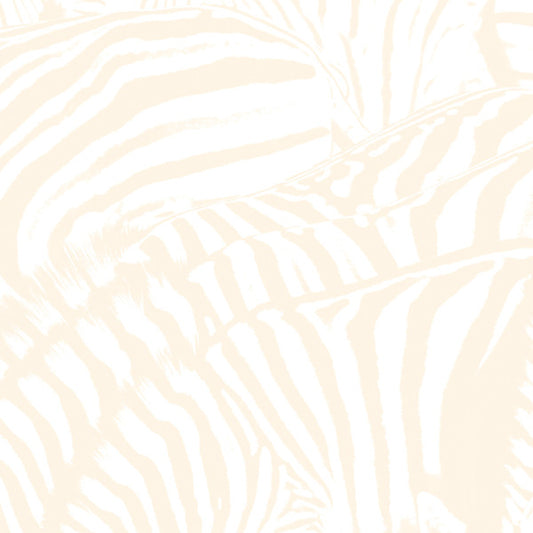 Beach House – Teen Dream (used)