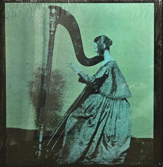 TV Girl – Grapes Upon The Vine (new)