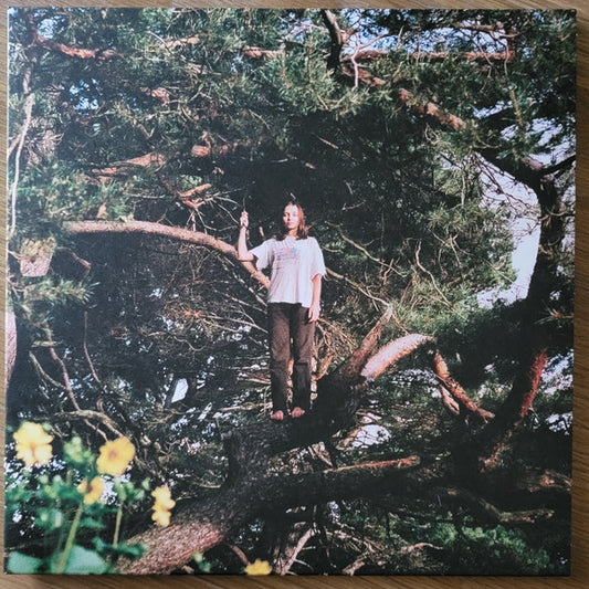 PACKS – Melt The Honey (new)