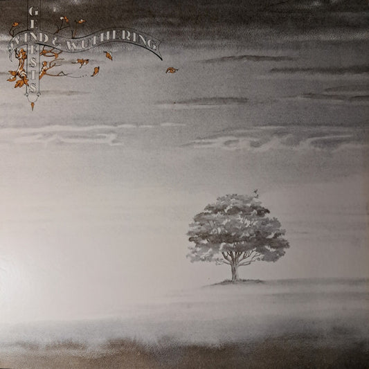 Genesis – Wind & Wuthering (used)