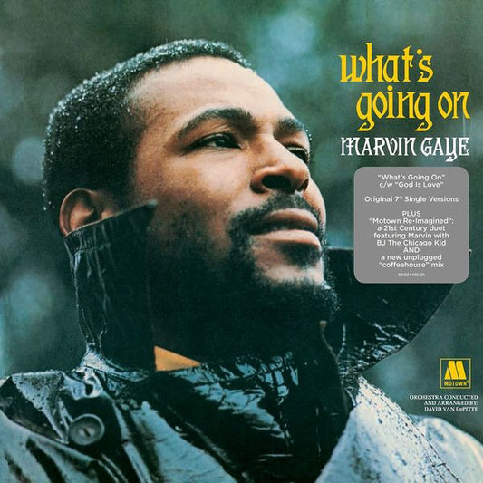 Marvin Gaye – What's Going On (10")Used(single)