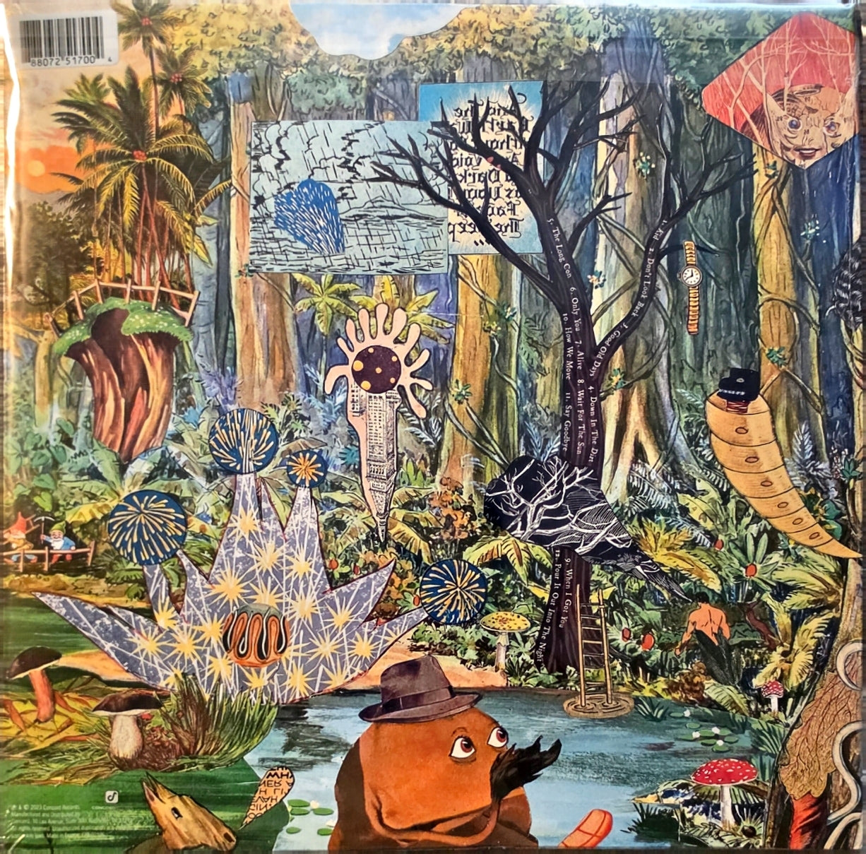 The Revivalists – Pour It Out Into The Night (new)(2023 Pressing)