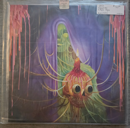 The Flaming Lips – The Flaming Lips (used)(2013 Pressing)