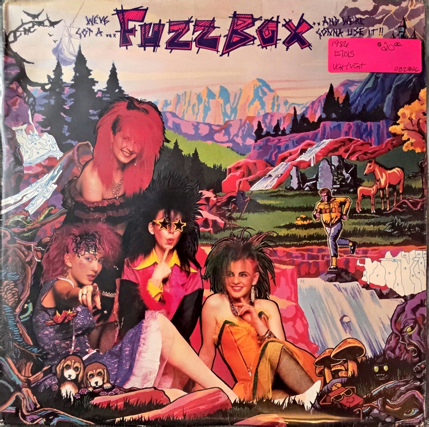 Fuzzbox – We've Got A Fuzzbox And We're Gonna Use It (used)(1986 Pressing)