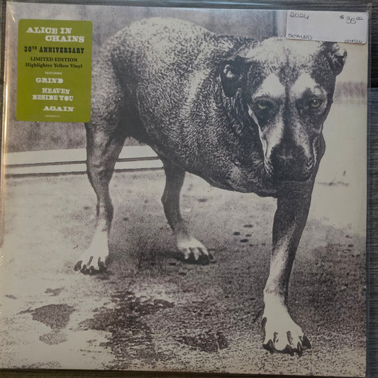 Alice In Chains – Alice In Chains (new)(2026 Pressing)